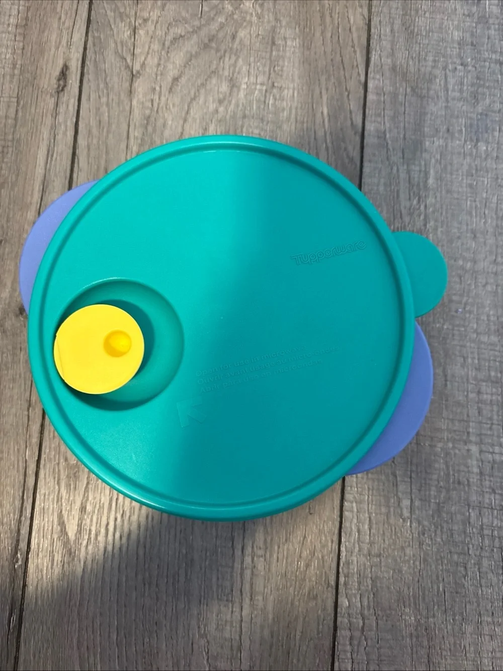 Tupperware Teal and Purple Container with Yellow Vent Three Compartments